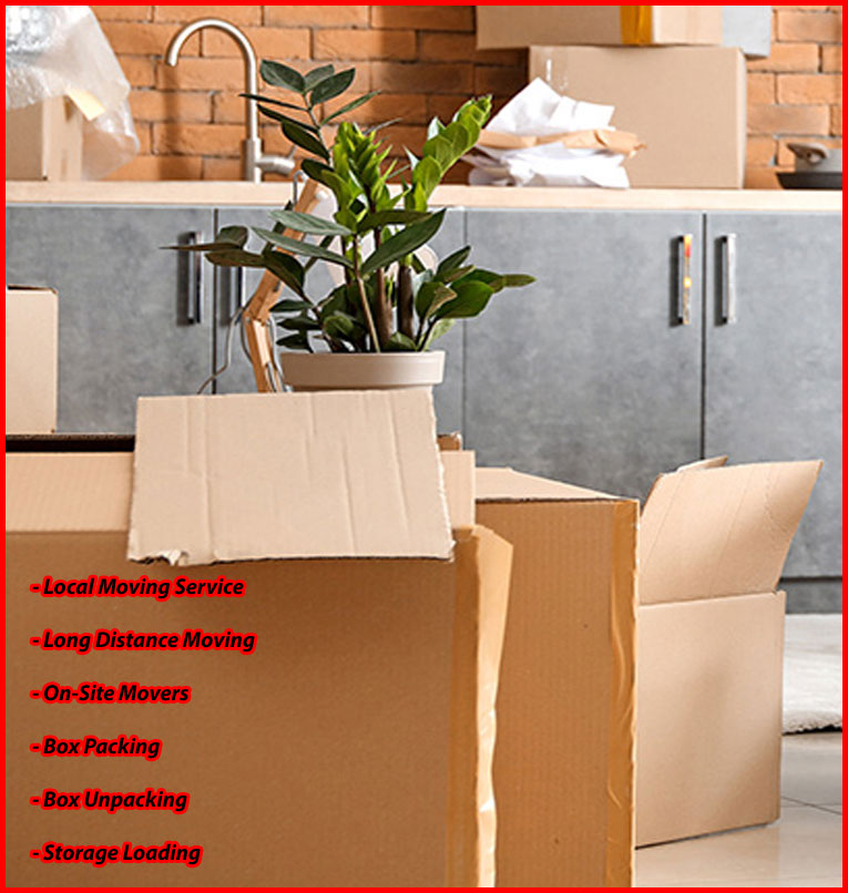 Packers And Movers Noida Sector 22